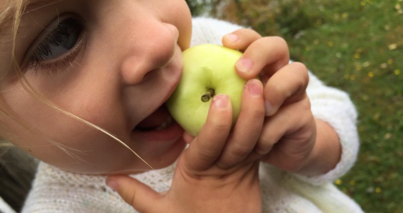 Organic Apples